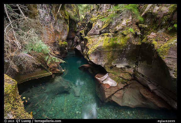 Emerald waters, Avalanche Creek. Glacier National Park (color)