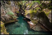 Emerald waters, Avalanche Creek. Glacier National Park ( color)