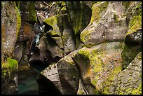 Sculptured rocks, Avalanche Creek. Glacier National Park ( color)