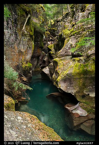 Avalanche gorge in the fall. Glacier National Park (color)