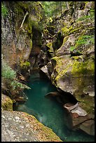 Avalanche gorge in the fall. Glacier National Park ( color)