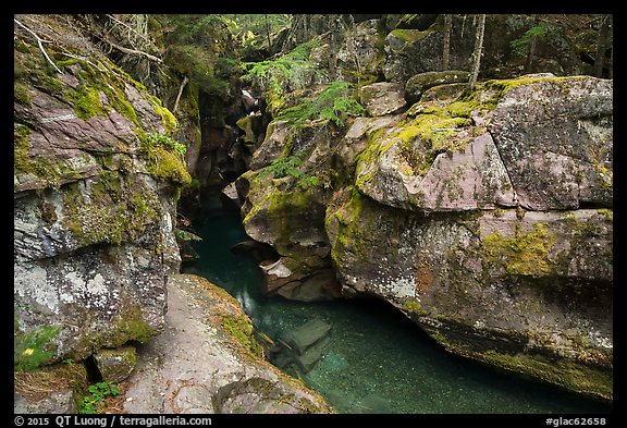 Avalanche Creek in autumn. Glacier National Park (color)