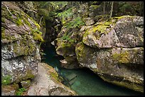 Avalanche Creek in autumn. Glacier National Park ( color)