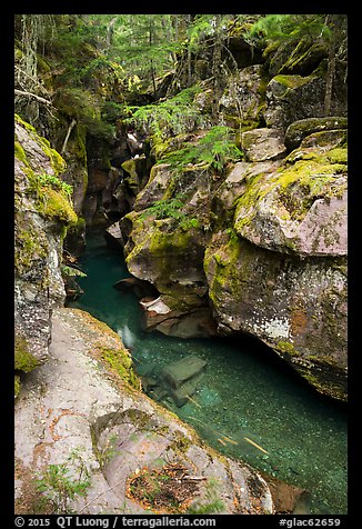 Avalanche Creek with low flow of autumn. Glacier National Park (color)