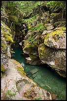 Avalanche Creek with low flow of autumn. Glacier National Park ( color)