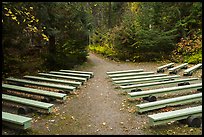 Amphitheater, Avalanche Creek Campground. Glacier National Park, Montana, USA.