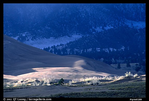 Storm light illuminates portions of the dune field. Great Sand Dunes National Park, Colorado, USA.