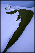 Curve on snowy dunes. Great Sand Dunes National Park and Preserve ( color)