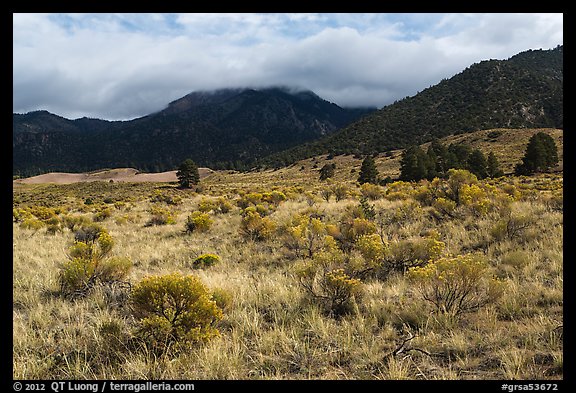 Grasslands below mountains. Great Sand Dunes National Park and Preserve (color)
