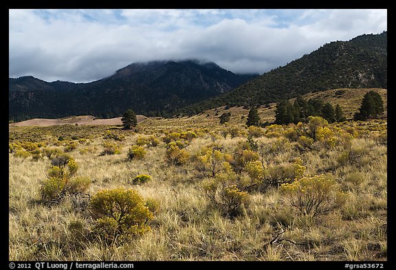 Grasslands below mountains. Great Sand Dunes National Park, Colorado, USA.