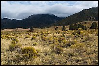 Grasslands below mountains. Great Sand Dunes National Park, Colorado, USA. (color)