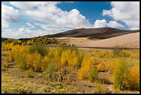 Riparian habitat along Medano Creek in autumn. Great Sand Dunes National Park and Preserve, Colorado, USA.