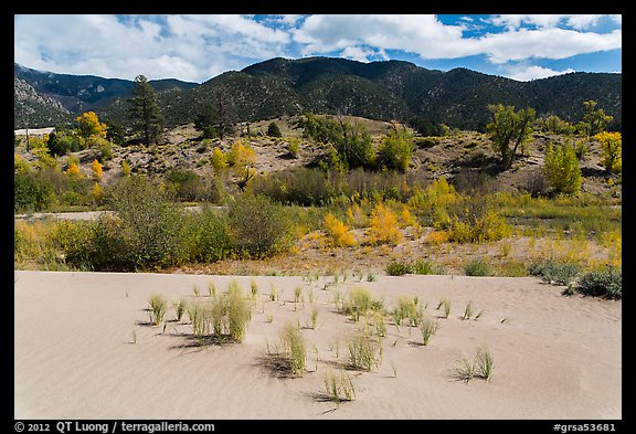 Dune sand, creek, grasslands, and mountains in autumn. Great Sand Dunes National Park, Colorado, USA.