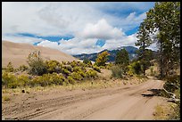 Medano Pass primitive road. Great Sand Dunes National Park and Preserve, Colorado, USA.