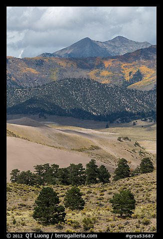 Sangre de Cristo mountains with aspen in fall foliage above dunes. Great Sand Dunes National Park and Preserve (color)