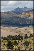 Sangre de Cristo mountains with aspen in fall foliage above dunes. Great Sand Dunes National Park and Preserve, Colorado, USA.