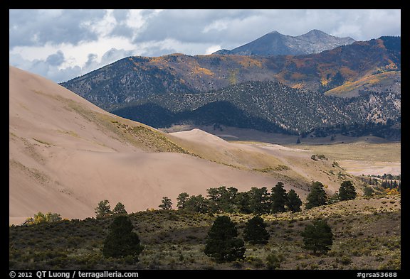 Sangre de Cristo range with bright patches of aspen above dunes. Great Sand Dunes National Park, Colorado, USA.