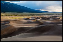 Dune field and valley, late afternoon. Great Sand Dunes National Park, Colorado, USA. (color)