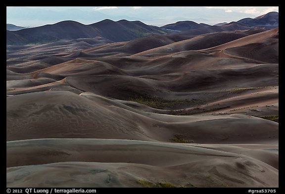 Dune ridges at dusk. Great Sand Dunes National Park, Colorado, USA.