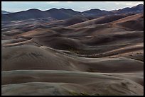 Dune ridges at dusk. Great Sand Dunes National Park, Colorado, USA. (color)