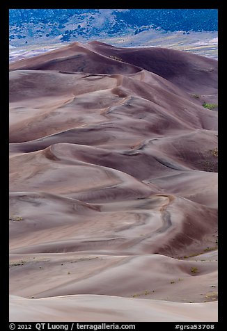 Dune field at dusk. Great Sand Dunes National Park and Preserve (color)