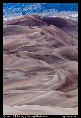 Dune field at dusk. Great Sand Dunes National Park, Colorado, USA.