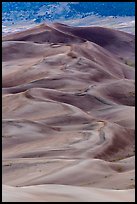 Dune field at dusk. Great Sand Dunes National Park, Colorado, USA. (color)