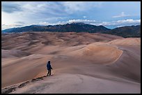 Park visitor looking, dune field. Great Sand Dunes National Park, Colorado, USA. (color)