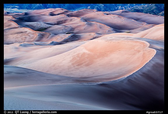 Dune field in lilac afterglow. Great Sand Dunes National Park and Preserve (color)
