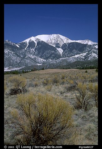 Desert-like sagebrush and snowy Sangre de Cristo Mountains. Great Sand Dunes National Park and Preserve (color)