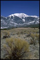 Desert-like sagebrush and snowy Sangre de Cristo Mountains. Great Sand Dunes National Park, Colorado, USA. (color)