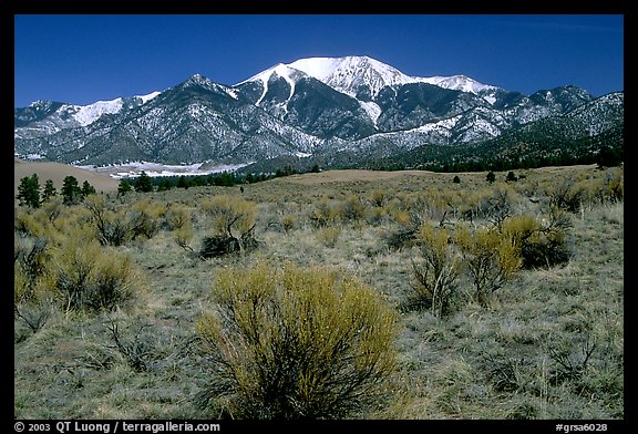 Desert-like sagebrush and snowy Sangre de Cristo Mountains. Great Sand Dunes National Park, Colorado, USA.