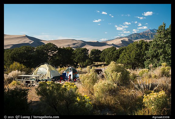 Pinyon Flats campground. Great Sand Dunes National Park and Preserve, Colorado, USA.