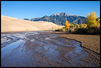 Medano Creek flowing, dunes, and trees in autumn foliage. Great Sand Dunes National Park and Preserve ( color)