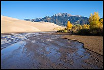 Medano Creek flowing, dunes, and trees in autumn foliage. Great Sand Dunes National Park and Preserve, Colorado, USA.