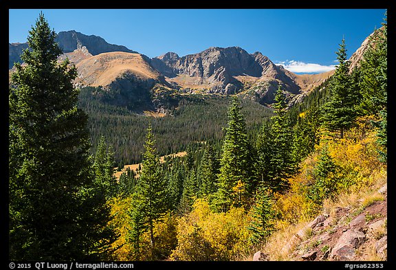 Subalpine forest, Sangre de Cristo mountains. Great Sand Dunes National Park and Preserve, Colorado, USA.