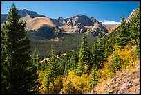 Subalpine forest, Sangre de Cristo mountains. Great Sand Dunes National Park and Preserve ( color)