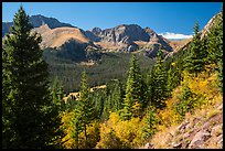 Subalpine forest, Sangre de Cristo mountains. Great Sand Dunes National Park and Preserve, Colorado, USA.