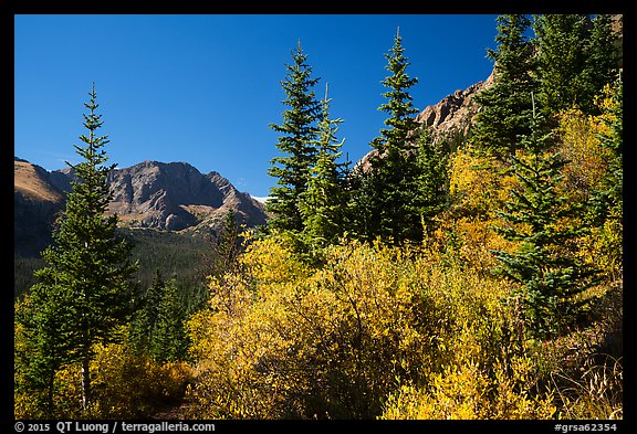 Autum foliage and Music Mountain. Great Sand Dunes National Park and Preserve (color)