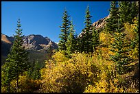 Autum foliage and Music Mountain. Great Sand Dunes National Park and Preserve, Colorado, USA.