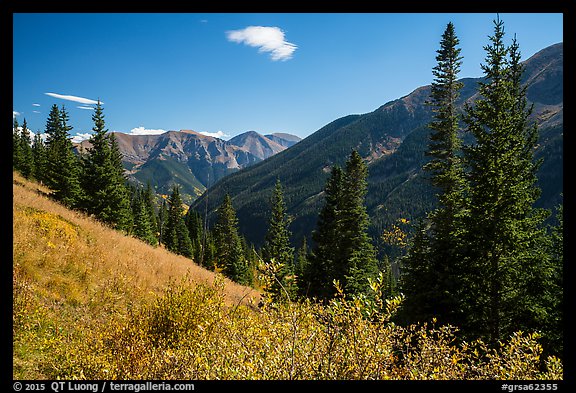 Sand Creek Valley. Great Sand Dunes National Park and Preserve, Colorado, USA.