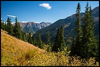 Sand Creek Valley. Great Sand Dunes National Park and Preserve, Colorado, USA.