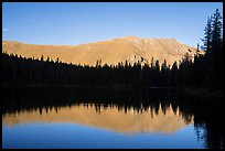 Mountain reflection and line of trees, Sand Creek Lake. Great Sand Dunes National Park and Preserve, Colorado, USA.