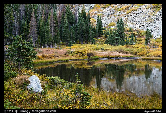 Lakeshore in autumn with shurbs and fir trees, Lower Sand Creek Lake. Great Sand Dunes National Park and Preserve (color)