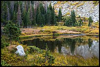 Lakeshore in autumn with shurbs and fir trees, Lower Sand Creek Lake. Great Sand Dunes National Park and Preserve, Colorado, USA.