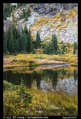 Autumn colors around Lower Sand Creek Lake. Great Sand Dunes National Park and Preserve (color)