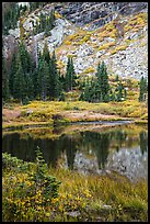 Autumn colors around Lower Sand Creek Lake. Great Sand Dunes National Park and Preserve, Colorado, USA.