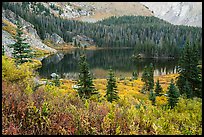 Autumn vegetation and alpine lake, Lower Sand Creek Lake. Great Sand Dunes National Park and Preserve, Colorado, USA.