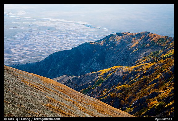 Autumn forests and dunes from above. Great Sand Dunes National Park and Preserve (color)