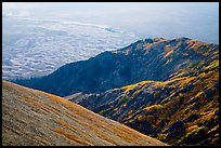 Autumn forests and dunes from above. Great Sand Dunes National Park and Preserve ( color)